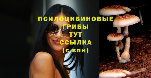 сатива Гусь-Хрустальный