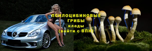 прущие крисы Чегем