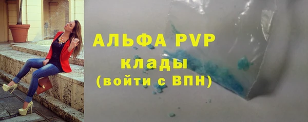 сатива Гусь-Хрустальный