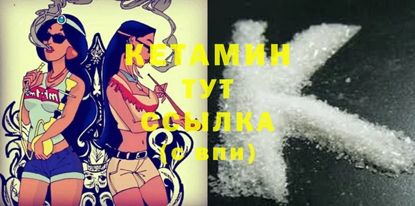 сатива Гусь-Хрустальный