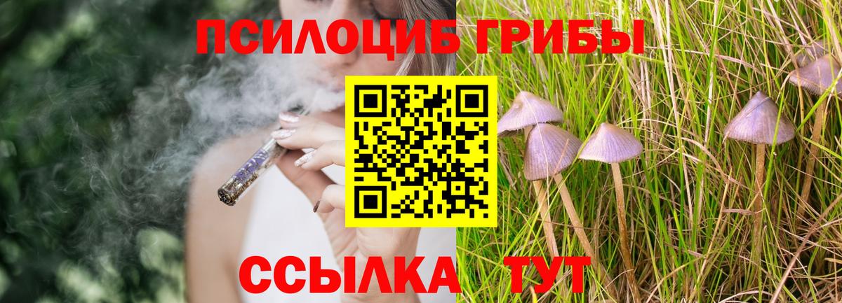 Галлюциногенные грибы GOLDEN TEACHER Изобильный