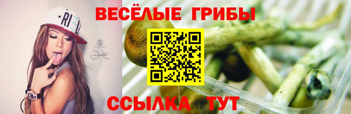 Галлюциногенные грибы Psilocybine cubensis  Вход с VPN  цены   Изобильный 